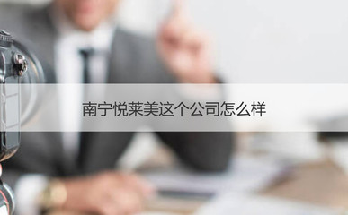 南寧悅?cè)R美醫(yī)療器械公司 代理與銷售業(yè)務概述及薪資分析